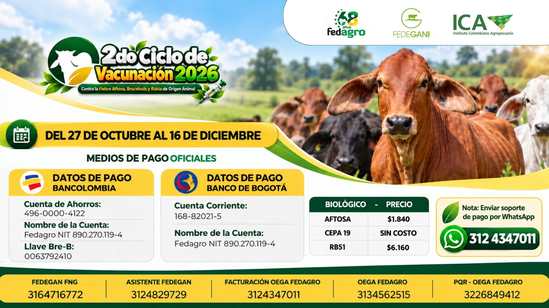 Banner Cuentas oficiales vacunación (1)