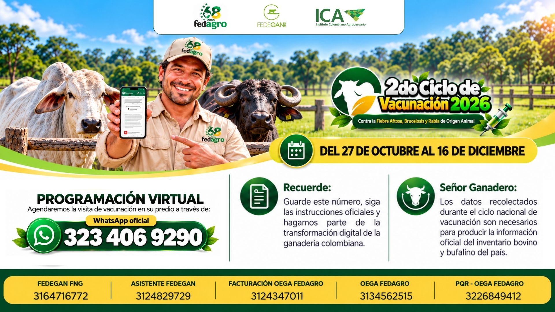 Banner Programación Virtual