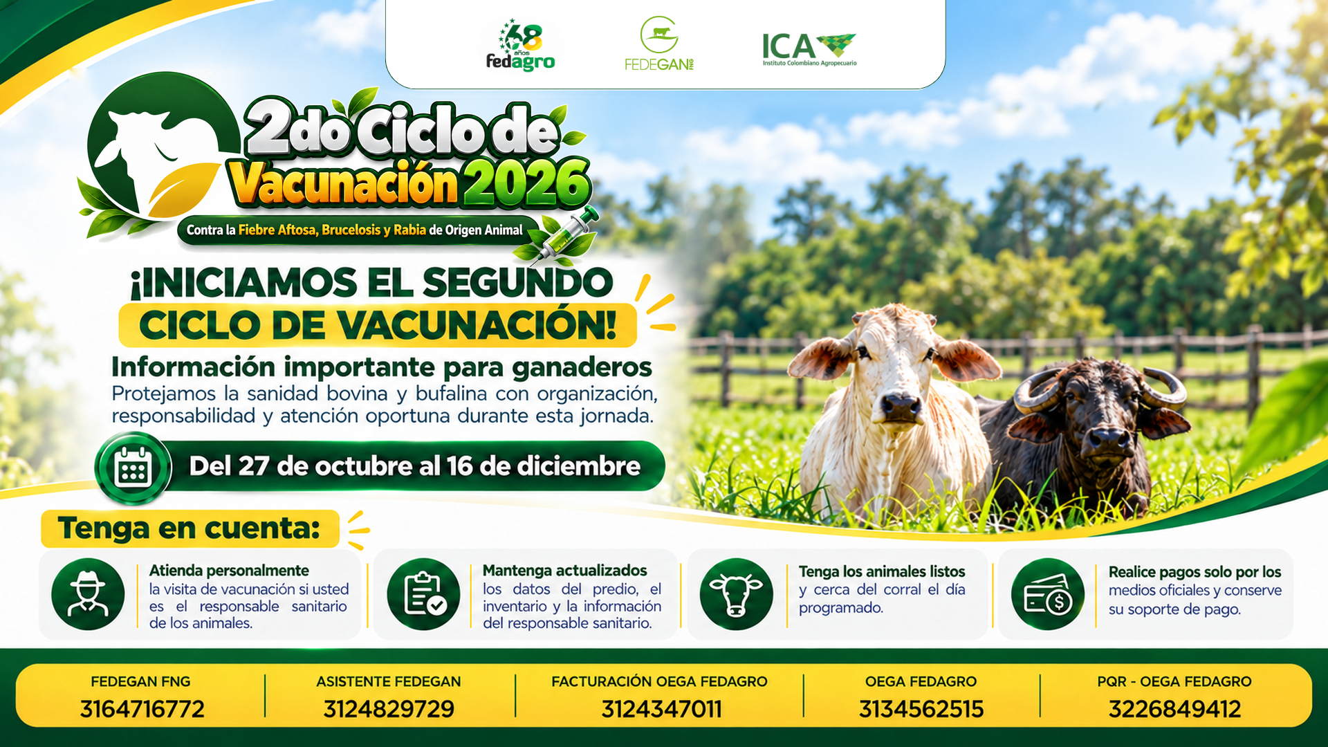 Copia de Banner Cuentas oficiales vacunación